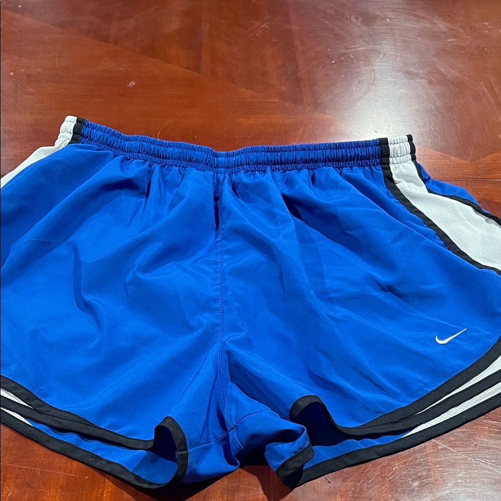 Nike Dri-FIT Blue Shorts